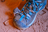 Little mouse climbing on a hiker´s boot