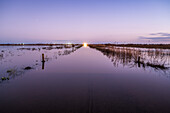 A serene scene of a flooded road at night in a natural area.