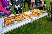 Guests enjoy a spread of traditional sweets during a countryside gathering in Pallares, Sierra Morena, celebrating local flavors.