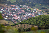 Cácota is a municipality located in the department of Norte de Santander, in the northeastern region of Colombia. With a rich history dating back to colonial times, this place has kept alive traditions that reflect the fusion between indigenous roots and Spanish heritage. Its natural environment, characterised by landscapes that combine agricultural areas and areas of native vegetation. The architecture of its buildings shows a deep cultural legacy.