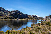 The Lagunas Negras Trail, located in the municipality of Vetas, Santander, is a hiking route located in the Páramo de Santurbán. It is a route with high mountain landscapes, characterized by impressive rock formations and lagoons of glacial origin with the presence of fauna and flora subject to conservation, among them is the endemic species of frailejon, Espeletia santanderensis.