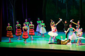 Das Allegro Dance Studio ist eine Akademie, die klassisches Ballett unterrichtet und den Tanz in Medellín fördert. Es entwickelt klassische Ballettausbildungsprogramme, die auf einem tiefen Verständnis der Technik basieren, und fördert und unterstützt gleichzeitig künstlerische Projekte.