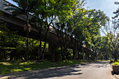 The Green Corridors strategy in Medellín represents a model of sustainable urbanism that began development in 2016 with the aim of counteracting the effects of urban heat and fostering a healthier environment for its inhabitants. This initiative is based on the creation of more than 30 ecological corridors, which connect main roads, green areas, mountains, and bodies of water through the planting and conservation of a diverse range of vegetation, including trees, shrubs, and other plants.