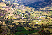 The Páramo del Almorzadero, located in the Eastern mountain range of the Colombian Andes, between the departments of Santander and Norte de Santander, is a vital high mountain ecosystem for the region. With altitudes that exceed 4,300 meters, this páramo is home to a unique biodiversity, highlighting the frailejones, mosses and lichens adapted to the extreme cold and frequent fogs. Its numerous lagoons and wetlands are the source of important rivers that supply water to local communities and agricultural activities. In addition, it is a refuge for species such as the Andean condor and endemic 