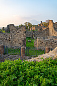 Ruins of Building VII.16.1, a large house in the ancient Roman ruins of Pompeii, Italy with the Mt. Vesuvius volcano behind.