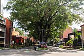 Barrio Laureles. Avenida Jardin, Segundo Parque de Laureles .
