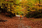 A man running through La Herrería Forest in autumn. San Lorenzo de El Escorial, Community of Madrid.
