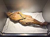 A 17th Century carved wooden statue of Christ in the Bicentennial Cultural Center, Santiago del Estero, Argentina. Carved by indigenous Amerindians.
