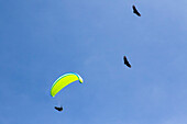 In Medellin, paragliding is practiced in strategic areas outside the urban area, such as Altos de San Félix and Matasanos. These areas, located on the outskirts of the city, have ideal climatic and topographic conditions for flying and enjoying impressive panoramic views of the Aburrá Valley, the slopes of the city of Medellin and the municipality of Bello, a town near this city.