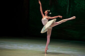 Das Allegro Dance Studio ist eine Akademie, die klassisches Ballett unterrichtet und den Tanz in Medellín fördert. Es entwickelt klassische Ballettausbildungsprogramme, die auf einem tiefen Verständnis der Technik basieren, und fördert und unterstützt gleichzeitig künstlerische Projekte.