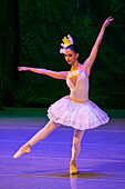 Das Allegro Dance Studio ist eine Akademie, die klassisches Ballett unterrichtet und den Tanz in Medellín fördert. Es entwickelt klassische Ballettausbildungsprogramme, die auf einem tiefen Verständnis der Technik basieren, und fördert und unterstützt gleichzeitig künstlerische Projekte.