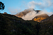The Páramo del Almorzadero, located in the Eastern mountain range of the Colombian Andes, between the departments of Santander and Norte de Santander, is a vital high mountain ecosystem for the region. With altitudes that exceed 4,300 meters, this páramo is home to a unique biodiversity, highlighting the frailejones, mosses and lichens adapted to the extreme cold and frequent fogs. Its numerous lagoons and wetlands are the source of important rivers that supply water to local communities and agricultural activities. In addition, it is a refuge for species such as the Andean condor and endemic 