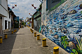 Colorful wall murals on buildings along a pedestrian street in Cali, Colombia.