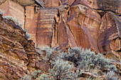 Eine prähispanische Felszeichnung der amerikanischen Ureinwohner mit Dickhornschafen im Cottonwood Canyon, Nine Mile Canyon in Utah. Fremont-Kultur.