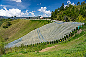 Sun shade structures protect sensitive crops in the agricultural land around Guatape, Colombia.