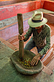 Demonstrartion of depulping coffee beans with a mortar & pestle, as part of a tour of a coffee farm in Colombia. Prior to 1850, coffee beans were depulped by hand or by mortar and pestle.