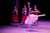 Das Allegro Dance Studio ist eine Akademie, die klassisches Ballett unterrichtet und den Tanz in Medellín fördert. Es entwickelt klassische Ballettausbildungsprogramme, die auf einem tiefen Verständnis der Technik basieren, und fördert und unterstützt gleichzeitig künstlerische Projekte.