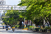 Cycleway. Avenida el Poblado.