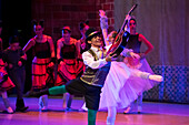 Das Allegro Dance Studio ist eine Akademie, die klassisches Ballett unterrichtet und den Tanz in Medellín fördert. Es entwickelt klassische Ballettausbildungsprogramme, die auf einem tiefen Verständnis der Technik basieren, und fördert und unterstützt gleichzeitig künstlerische Projekte.