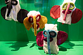 The Barranquilla Carnival Museum is a space dedicated to safeguarding, disseminating and exhibiting the manifestations and traditions of the city's emblematic carnival. In addition, it integrates an educational section that allows visitors to deeply understand the historical and cultural relevance of this festivity in addition to offering a space for the recognition of other carnivals in the world.