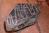 Pre-Hispanic indigenous Amerindian petroglyphs carved on a stone in the Museum of Anthropology, Salta, Argentina.