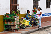 A woman sells fresh fruit and potted plants on the street in Cali, Colombia.