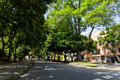 Barrio Laureles. Circular primera.