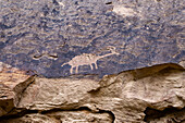 Eine vorspanische Felszeichnung der amerikanischen Ureinwohner im Cottonwood Canyon, Nine Mile Canyon in Utah. Fremont-Kultur.