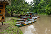 Kanus für den Transport zur Napo Wildlife Center Ecolodge im Amazonasbecken von Ecuador. Die Lodge wird von der Gemeinschaft der Anangu Kichwa Ureinwohner betrieben.
