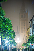 Thick fog envelops the Giralda tower in Seville, creating a serene and mysterious atmosphere in the quiet streets lined with trees.
