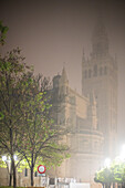 Thick fog envelops the Giralda tower in Seville, creating a serene and mysterious atmosphere in the quiet streets lined with trees.