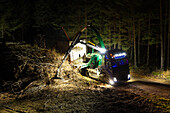 Kranmaschine beim Säubern kahler Bäume im Wald bei Nacht