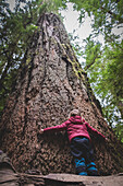 Low angle view of girl hugging large tree trunk in forest