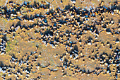 Luftaufnahme der einzigartigen und farbenfrohen Texturen von Rio Tinto mit schroffen Felsen und erdigen Tönen, Berrocal, provincia de Huelva, Spanien.