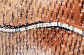 Aerial view of almond trees in a scenic rural landscape with geometric patterns and sunlight, Velez-Rubio, provincia de Almeria, Spain.