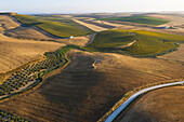 Luftaufnahme von malerischem Ackerland mit sanften Hügeln und einer Straße, Córdoba, Provincia de Córdoba, Spanien.