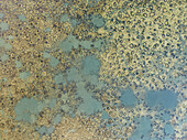 Aerial view of colorful abstract patterns and textures in natural landscape, Salinas de Cerrillos, Almeria, Spain.