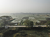 Luftaufnahme von ruhigen Reisfeldern und Ackerland mit Bäumen und einer Straße, Paikar Char, Narsingdi, Dhaka, Bangladesch.