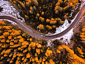 Luftaufnahme eines Autos auf einem kurvenreichen Bergpass, umgeben von leuchtendem Herbstlaub, Bondo, Trentino, Italien.