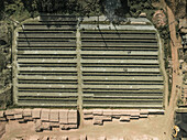 Aerial view of industrial brick fields and factory amidst greenery and dirt road, Suti Para Union, Dhamrai, Dhaka, Bangladesh.