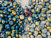 Bogura, Bangladesh - 14 December 2024: Aerial view of a vibrant winter vegetable market with fresh local produce including pumpkins, Bogura, Bogura, Bangladesh.