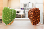 Verschiedene farbenfrohe Gelato-Stangen mit grünem und schokoladigem Überzug Diese gefrorenen Leckereien werden in einer rustikalen italienischen Bäckerei ausgestellt und zeigen handwerkliche Kunstfertigkeit