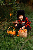 A smiling child in a chequered shirt and a furry hat happily picks oranges from a tree and places them in baskets. The lush greenery creates a cheerful garden atmosphere.
