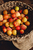 A rustic woven basket overflows with fresh, colourful plums. The different shades of yellow, red and orange create a warm, inviting image that symbolises harvest and abundance.