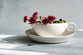 A porcelain cup with bright pink chrysanthemum flowers on a matching saucer forms an elegant decoration on a softly lit, light grey surface