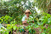 A gardener in an orchard uses technology and combines nature with innovation. Surrounded by green plants, he analyses the plants with a tablet, demonstrating modern agriculture