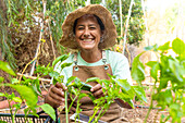 A cheerful gardener in a straw hat and apron holds a tablet in a lush vegetable garden and shows how technology is improving modern gardening practices.