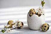A cheerful Easter composition with quail eggs in a textured white ceramic egg holder decorated with delicate spring flowers. Soft lighting emphasises the festive and natural aesthetic.