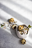 A quail egg in a white ceramic bowl with delicate cherry blossoms, symbolising the freshness and renewal of Easter. The soft natural light casts gentle shadows and adds depth to this cheerful spring scene.