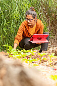 A gardener manages her vegetable garden with the help of a tablet, combining traditional gardening with modern technology The scene illustrates innovation in agriculture